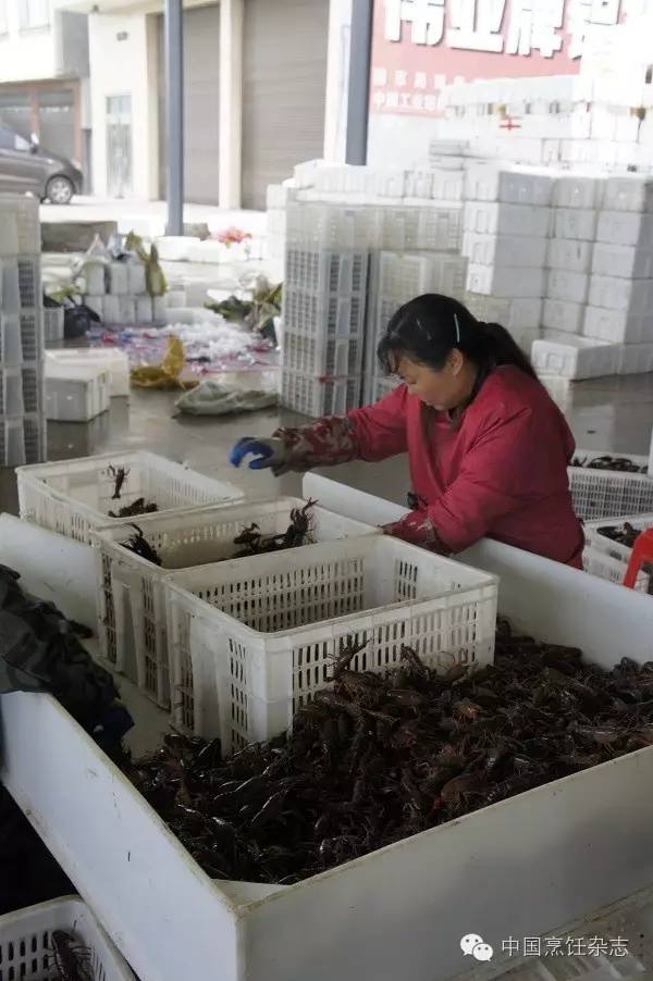 小龙虾，大市场！未来是否继续火爆取决于什么？盱眙、潜江、南京、武汉、上海、北京、合肥、杭州……跟着小龙虾地图走一遭吧！