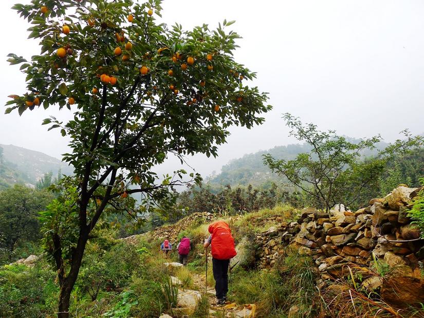 蒙山三十六计之十六：雨潜麻峪环古寺
