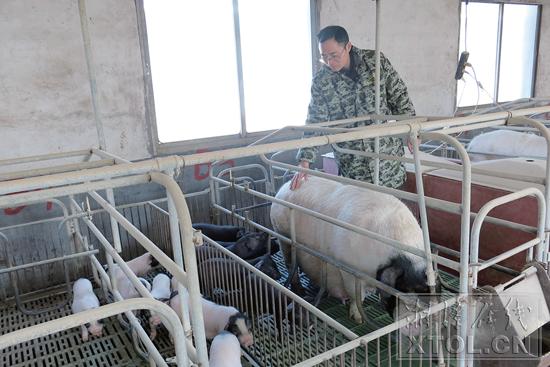 湖南农产品十大排名,湘潭特产第一名是什么