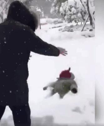 生孩子就是用来玩的经典句子,如果生孩子不是为了玩就毫无意义