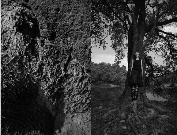 大家为何如此怀念“老例外”？好意外