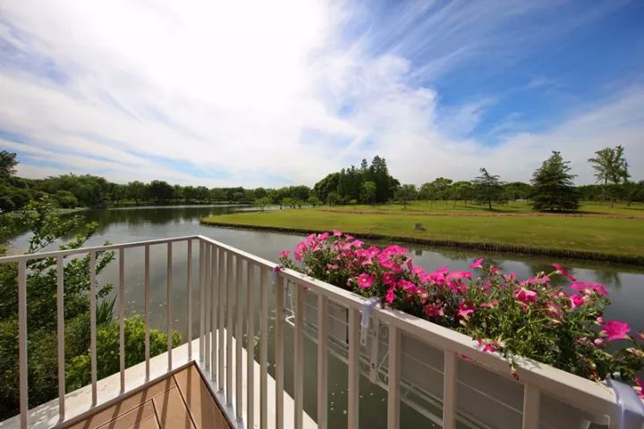 梅时莓刻惊蛰春！这一份青浦春游完整版攻略请收好~