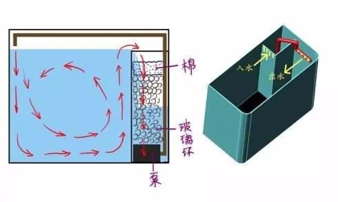 零基础新手养鱼开缸全过程,新手第一次开缸养鱼操作