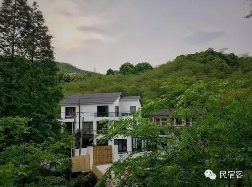 初夏,感受溪水的清凉,就去这几家溪畔民宿