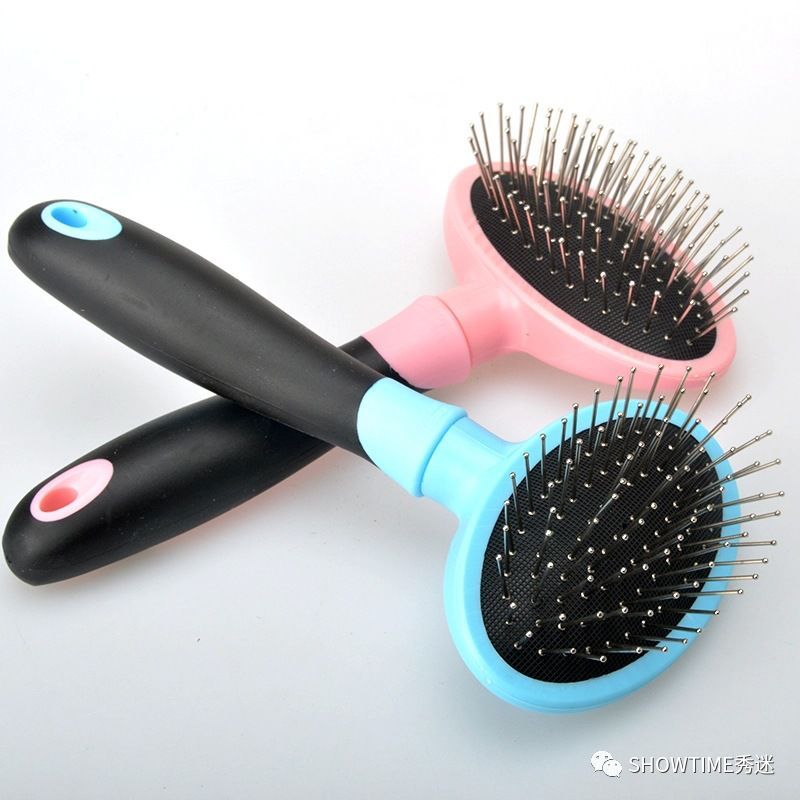 新手铲屎官养宠物该怎么办,怎么成为合格的养狗铲屎官