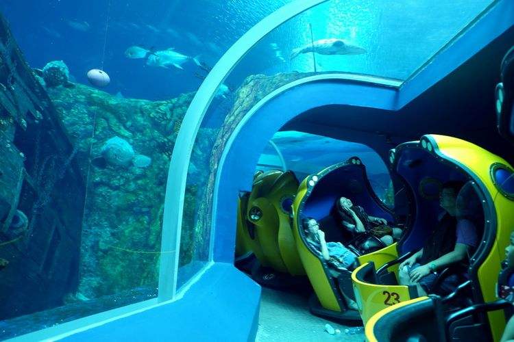去珠海长隆海洋王国住哪里好,玩转珠海长隆海洋王国全攻略