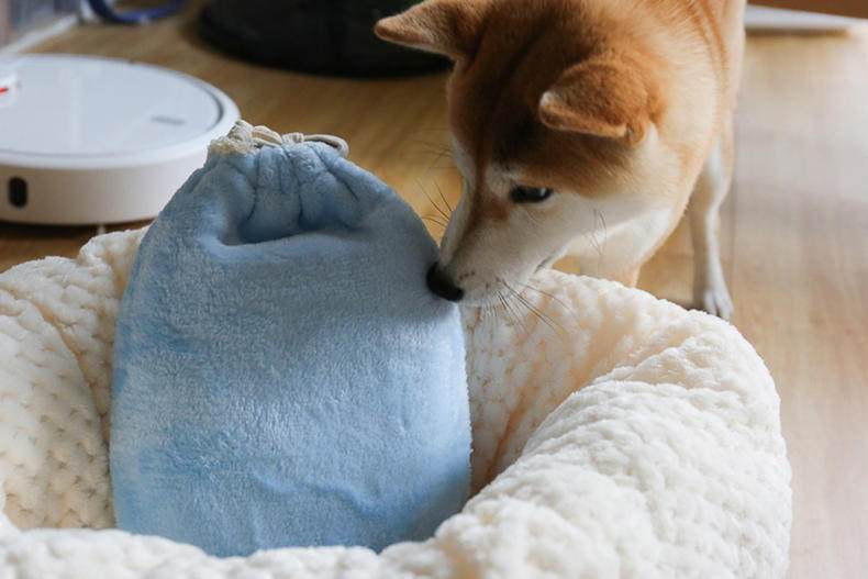 冬季睡衣韩系ins风,女生日常用品必备ins风透气