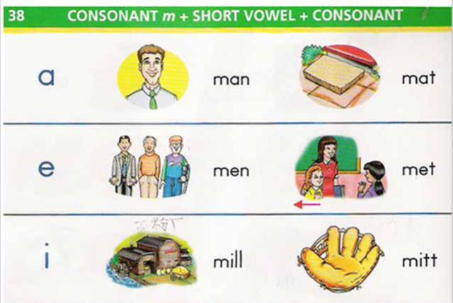 利用单词引导孩子学英语,如何用好词典笔学英语