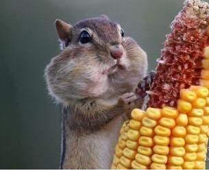 冷知识晚上饿着睡觉会变丑,冷知识饿着肚子睡觉会变丑