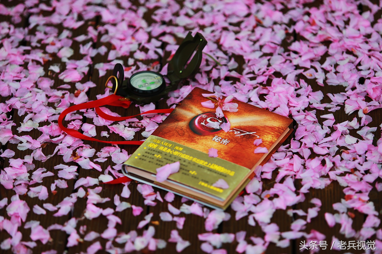 从大连到杭州上海苏州,大连到杭州旅行