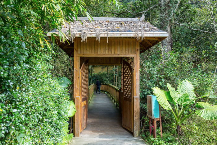 崇左自驾旅游景点有哪些地方,广西崇左沿途的风景