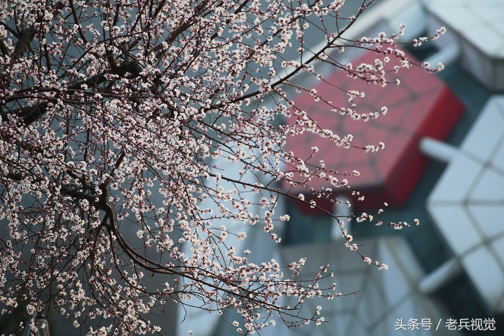 从大连到杭州上海苏州,大连到杭州旅行
