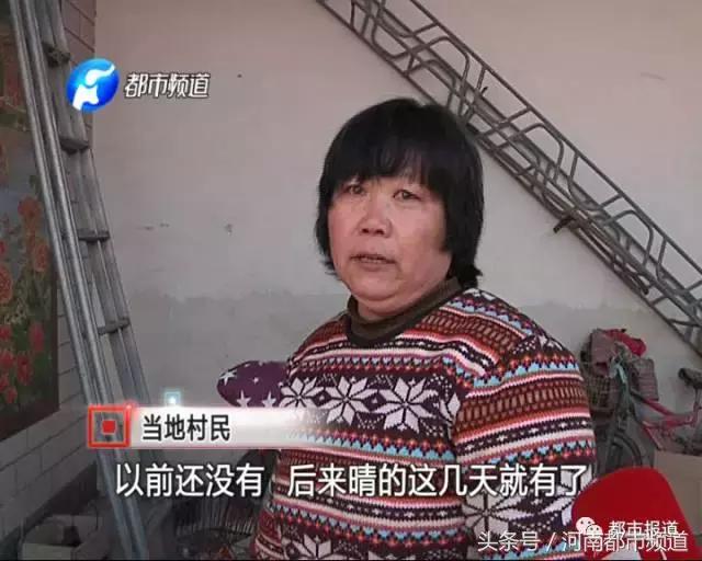 河南什么地方出现大量黑虫,河南村民发现红色线虫