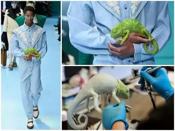 gucci最值得买的几款,gucci必买十大单品