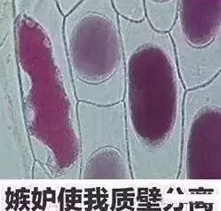 7500元gucci包,gucci包7500元