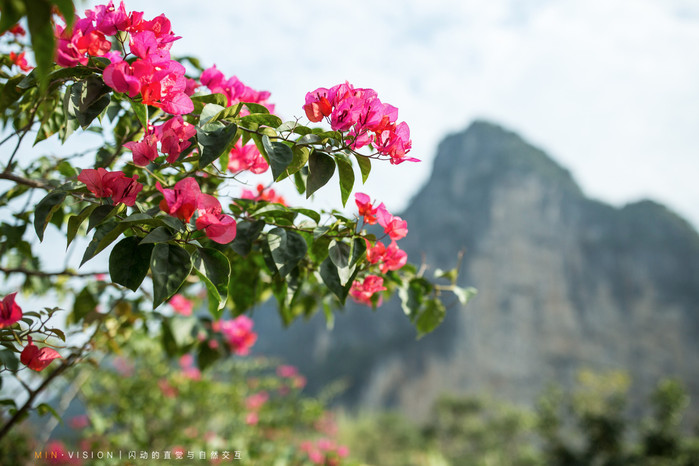 崇左自驾旅游景点有哪些地方,广西崇左沿途的风景