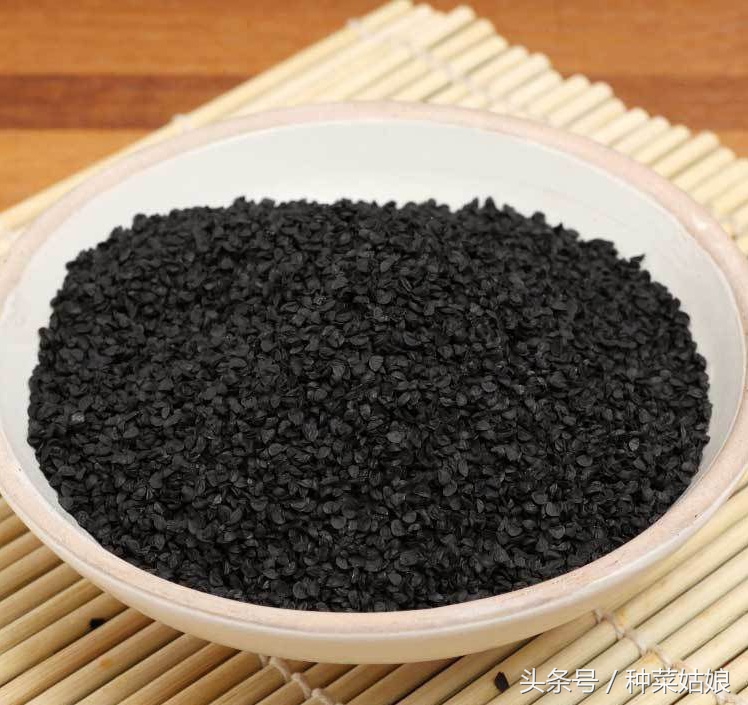 春播大葱这样育秧,大葱怎样移栽才能使葱苗变直