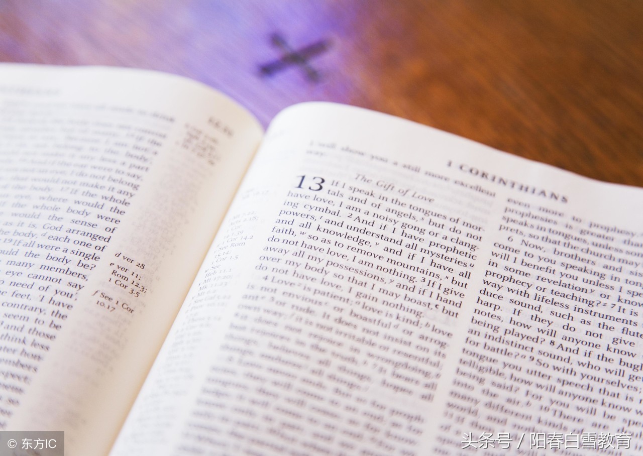 初中英语人教版短语归纳大全,初中英语短语1000句