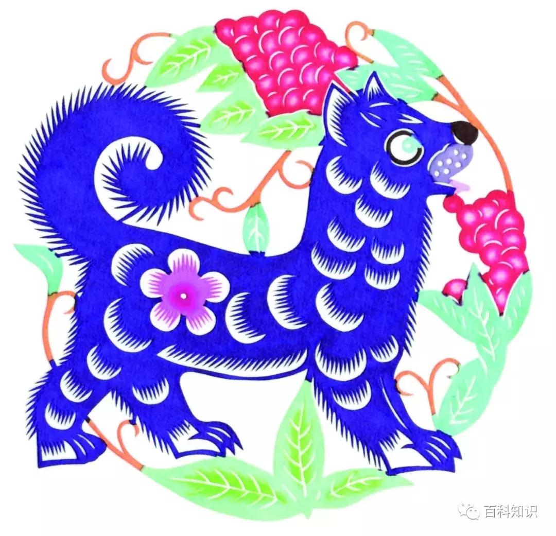 天气转暖，犬来大地报春意