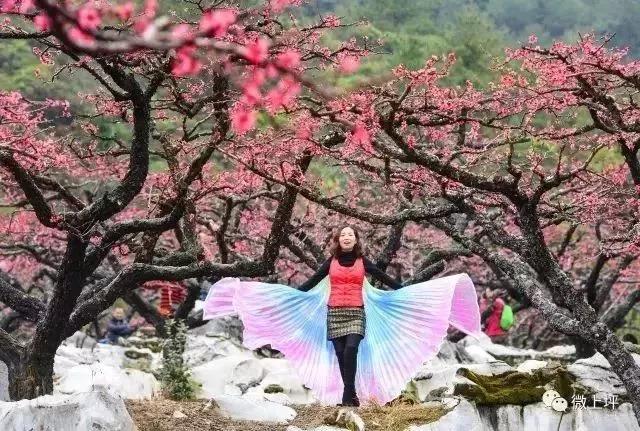 滚蛋吧,春困君!广东这些花花世界让你秒变龙马精神!