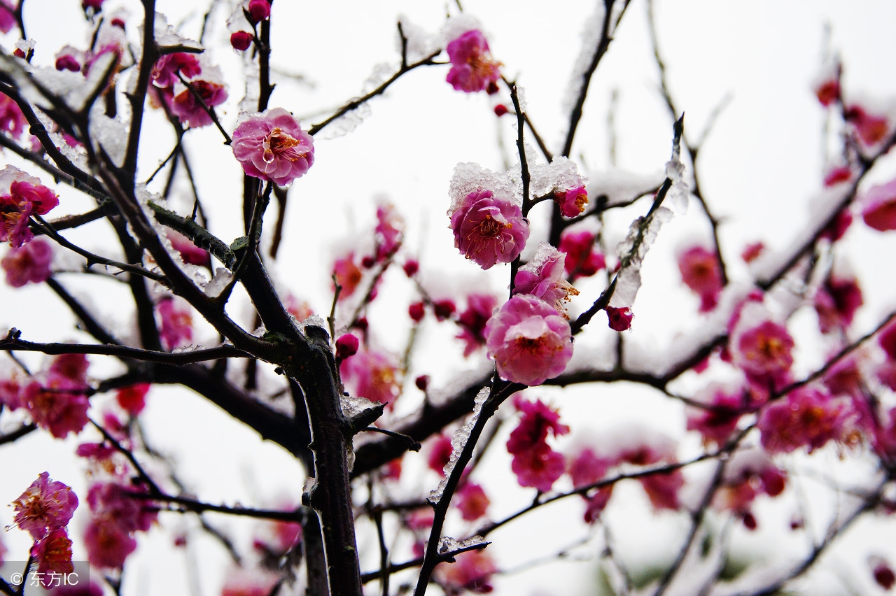 古筝适合初学左右手练习的曲子,古筝指法慢弹的视频