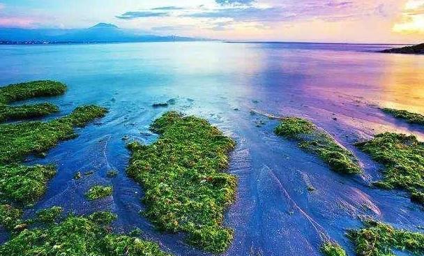 哪些艺人在巴厘岛办婚礼,巴厘岛为什么那么多明星