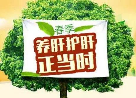 春季养生保健最适宜的药物是,春季养生的穴位按摩之道