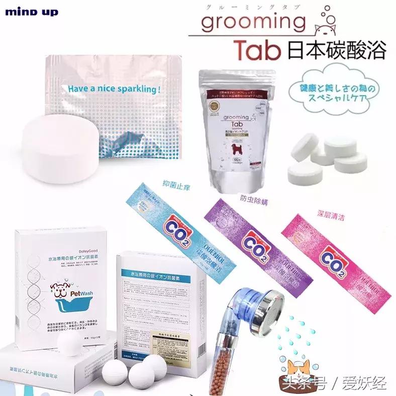 宠物洗护合集,宠物洗护攻略