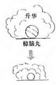 衣柜里放樟脑丸能否防止蟑螂进入,樟脑丸放在箱子里面为什么会消失