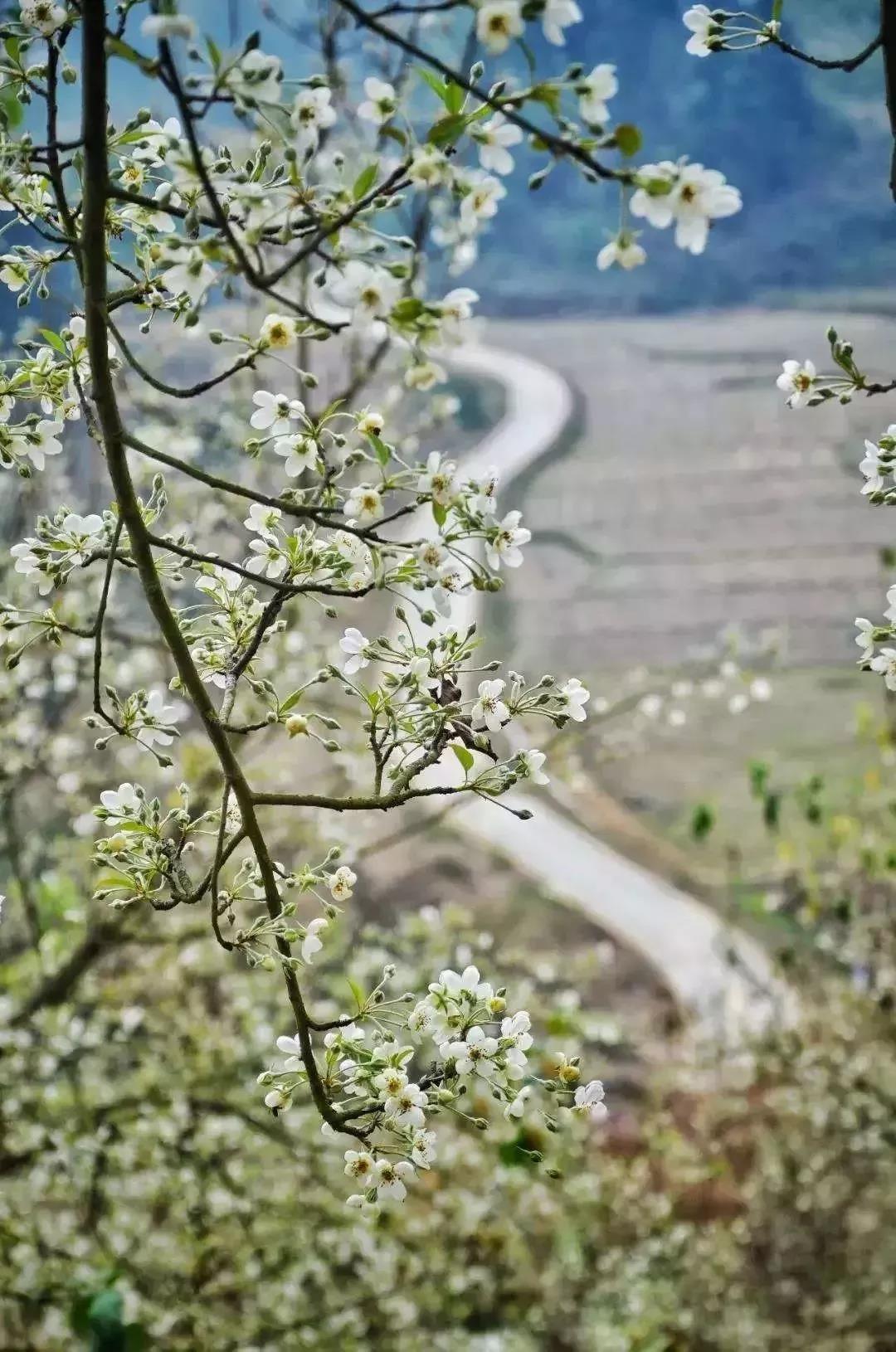 滚蛋吧,春困君!广东这些花花世界让你秒变龙马精神!