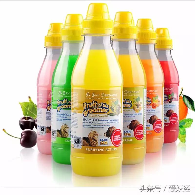 宠物洗护攻略,爱妖经养宠怎么玩