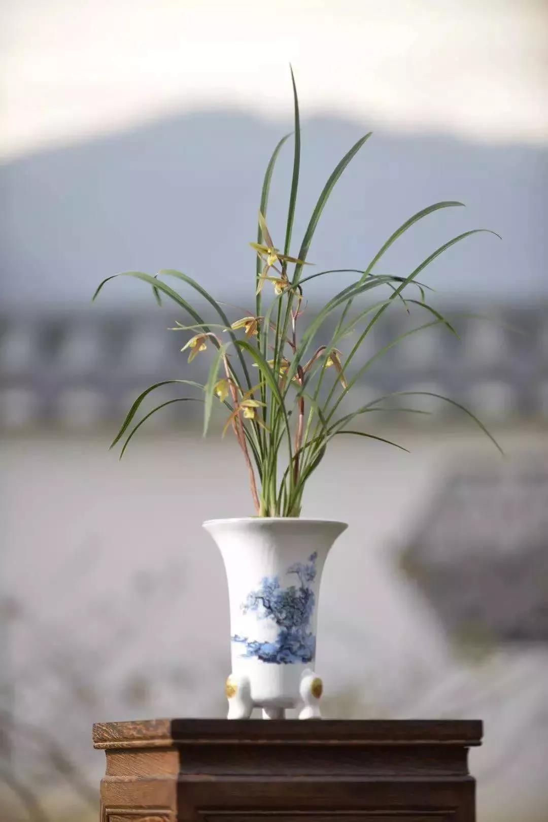 滚蛋吧,春困君!广东这些花花世界让你秒变龙马精神!