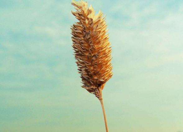 十二星座有多爱换头像,不开心就喜欢换头像的星座