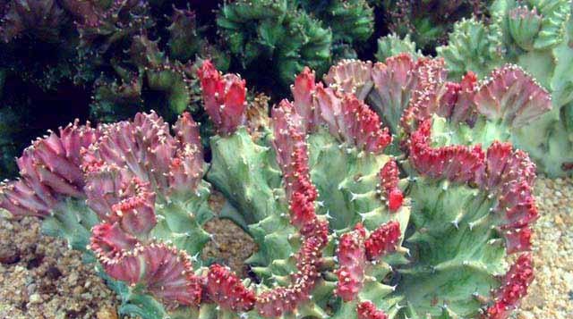 爱自然主题活动,爱自然爱生活视频