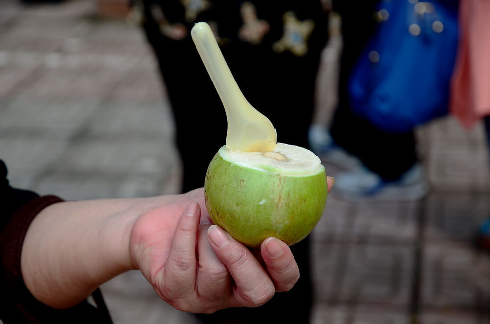野生奇异果种植技术,四川野果100种大全