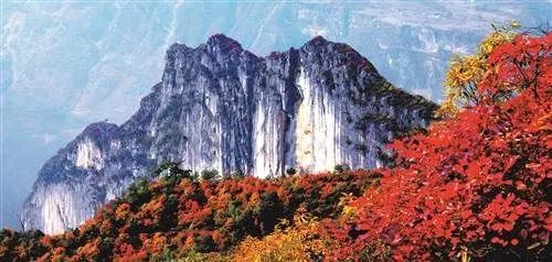 只有重庆本地人才知道的小众景点,重庆推荐小众景点