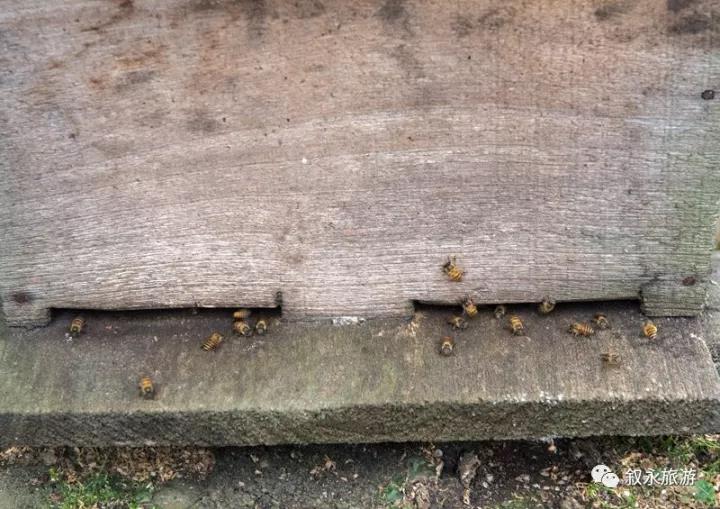 冰雹叙永白腊苗族乡,叙永白腊苗族乡后山