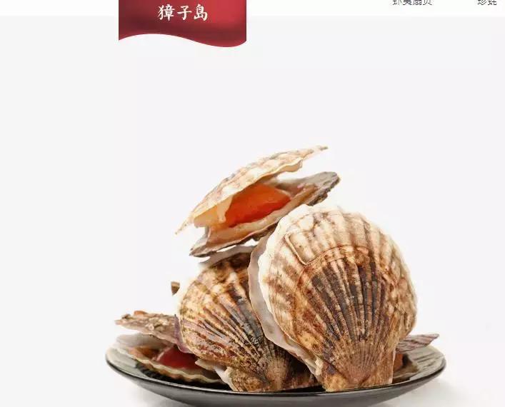 造玩具,玩玩具造出核潜艇