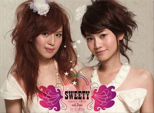 解散的二人女子组合,2017年解散的组合