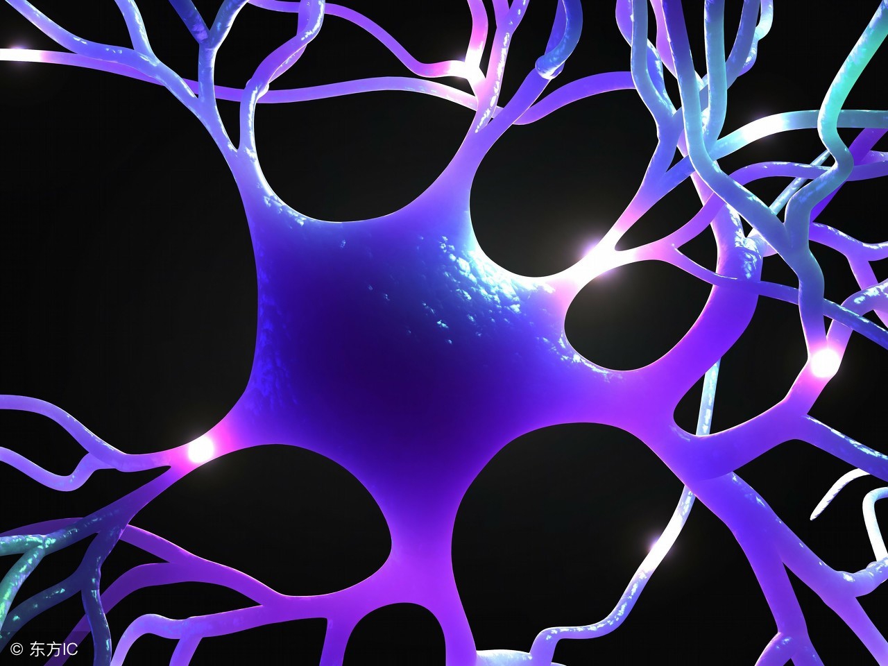 nkt细胞淋巴瘤最新研究进展,淋巴瘤肿瘤微环境