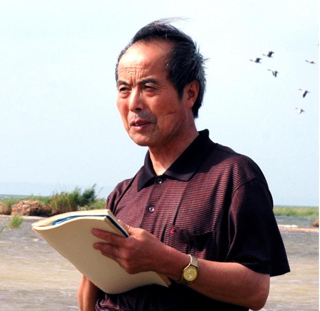 踏破铁鞋找寻人生真谛,踏破铁鞋觅知音歌名