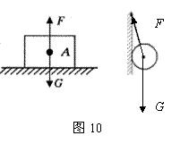八年级下册物理重力,八年级下册物理重力教案
