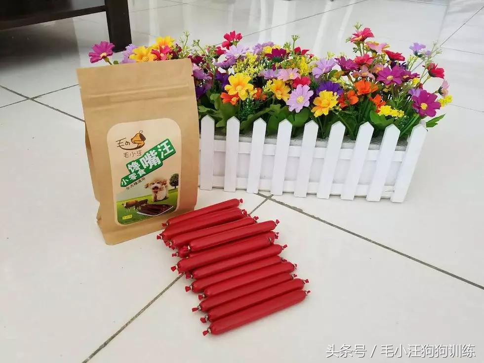 狗狗贪吃怎么训练,金毛狗狗挑食怎么办