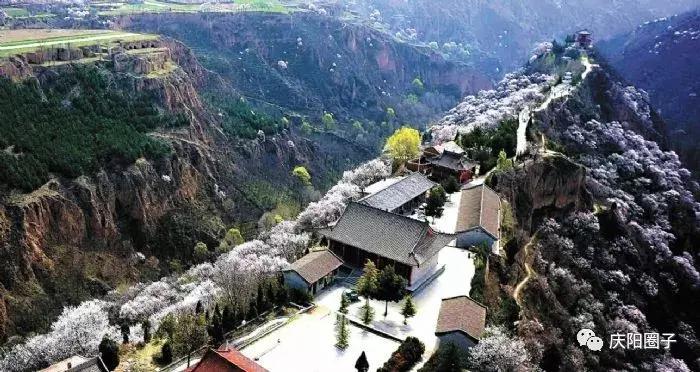 为什么甘肃人把“爸”叫“大”，尤其庆阳人！