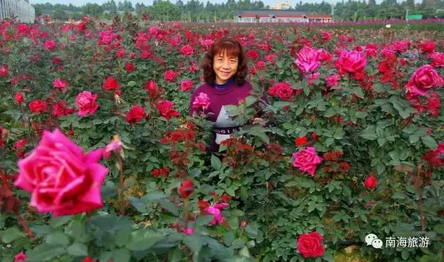 以前央视播出过的美食节目有哪些,tvb最新美食