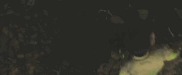 韩国史上票房最高的电影是哪一部,2021韩国票房第一名电影