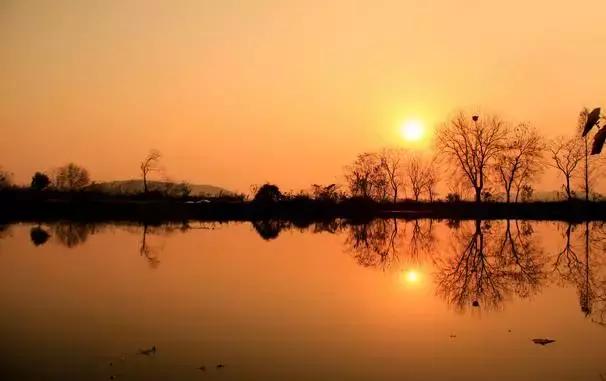 武汉比较靠谱的摘草莓基地,武汉市黄陂区摘草莓地方