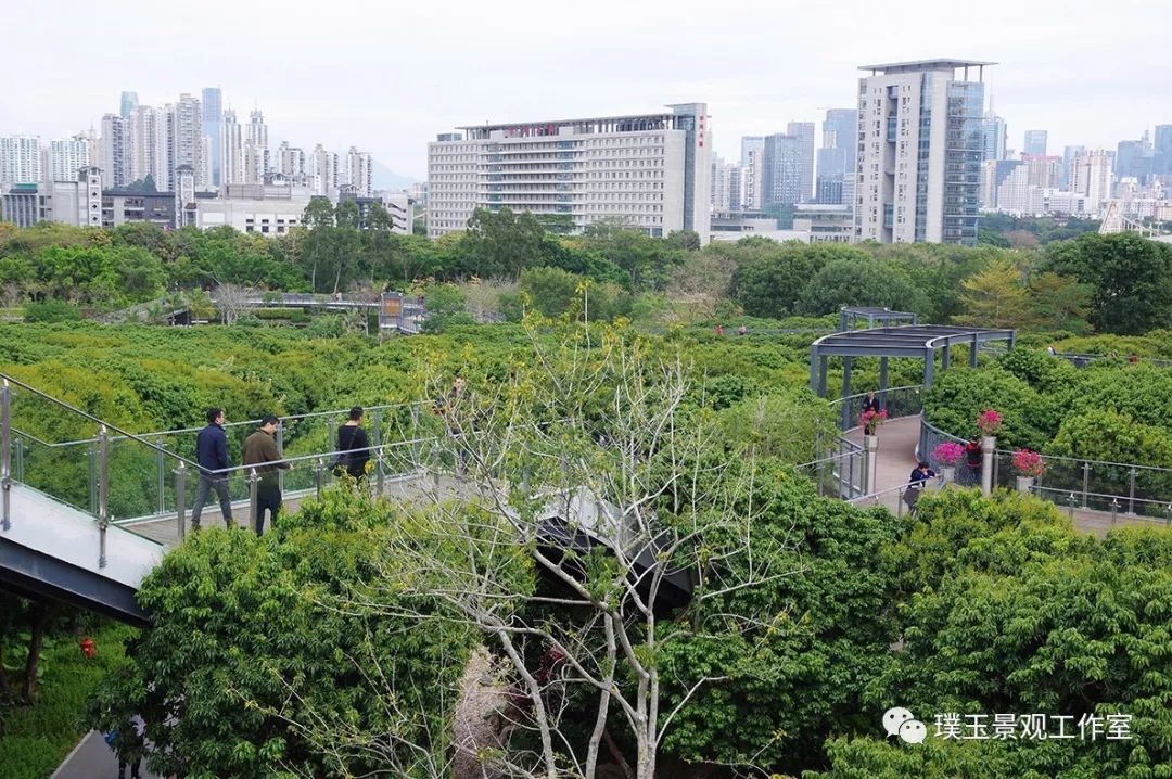 深圳香蜜公园航拍视频,香蜜湖香蜜公园