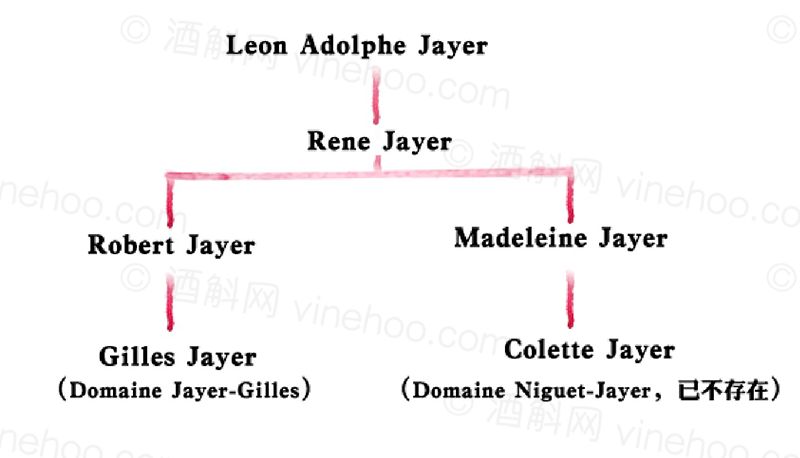 “勃艮第之神”亨利·贾叶（HenriJayer）家族和他的门徒们