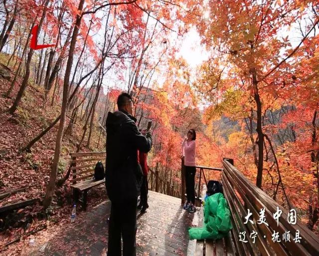 五美山风景,抚顺红叶旅游攻略